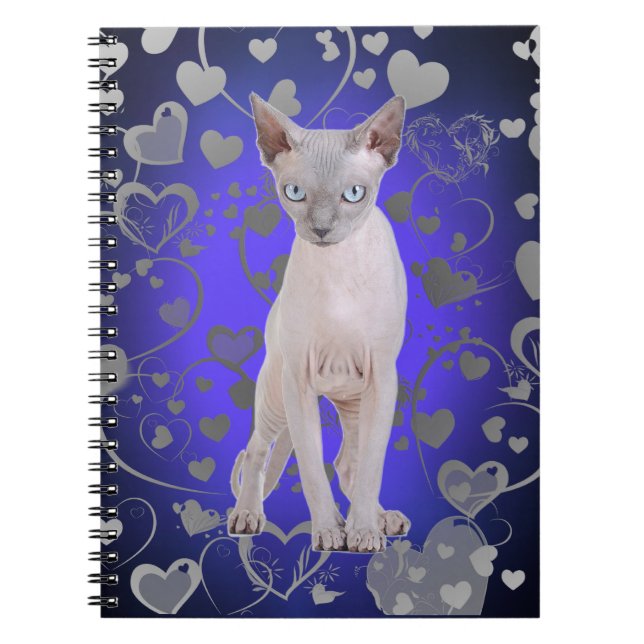 Sphynx Notizblock (Vorderseite)