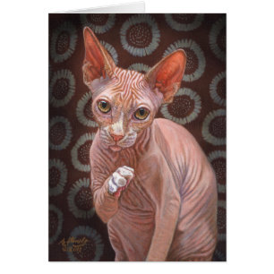 Sphynx Sphinx-Katzen-Jack