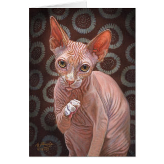 Sphynx Sphinx-Katzen-Jack