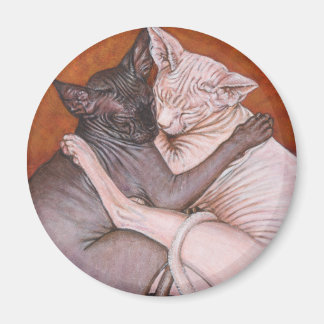 Sphynx Sphinx Katzen Nickerchen Zeit Magnet