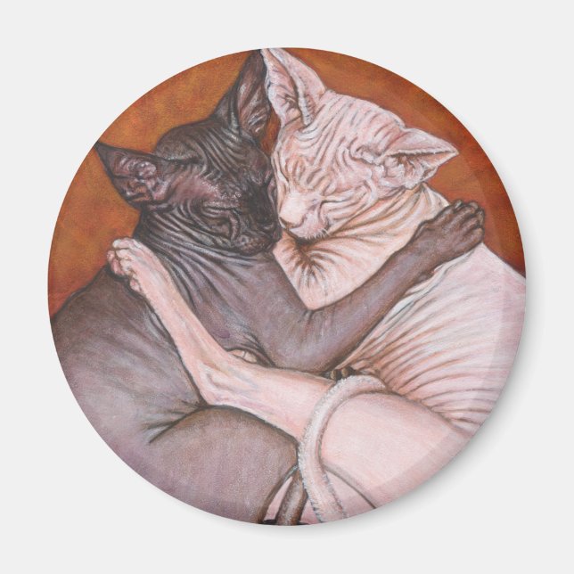 Sphynx Sphinx Katzen Nickerchen Zeit Magnet (Vorne)