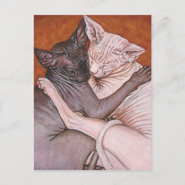 Sphynx Sphinx Katzen Nickerchen Zeit Postkarte (Vorderseite)