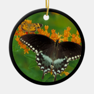 Spicebush Frack Butterfly Keramik Ornament
