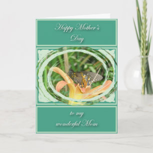 Spicebush Frack Butterfly-Muttertagskarte Karte