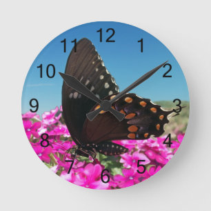Spicebush Frack Butterfly Runde Wanduhr