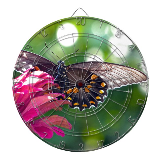 Spicebush-Frack Dartscheibe (vorne)