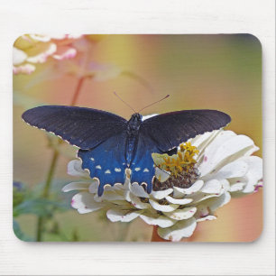 Spicebush-Frack Mousepad