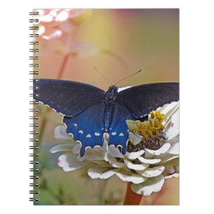 Spicebush-Frack Notizblock