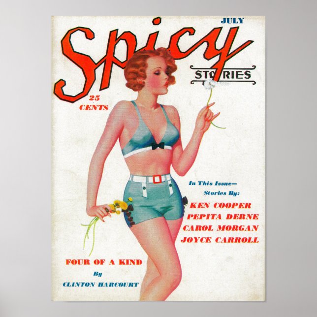 Spicy Magazine Cover Poster (Vorne)