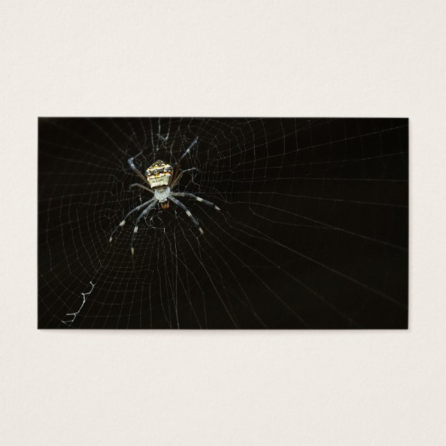Spider (Vorderseite)
