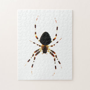 Spider 11x14 252pc jpcnm puzzle