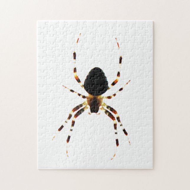 Spider 11x14 252pc jpcnm puzzle (Vertikal)