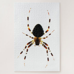 Spider 20x30 1014pc jpcna puzzle