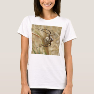 Spider and Egg Sac Ladys T Shirt