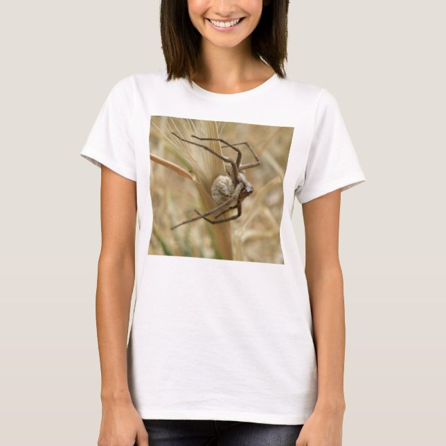 Spider and Egg Sac Ladys T Shirt (Vorderseite)