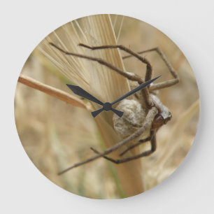 Spider and Egg Sac Wall Clock Große Wanduhr