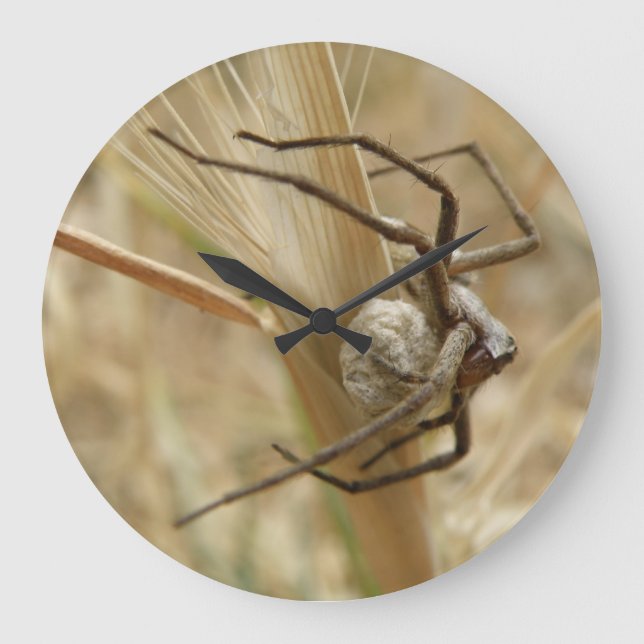 Spider and Egg Sac Wall Clock Große Wanduhr (Vorderseite)
