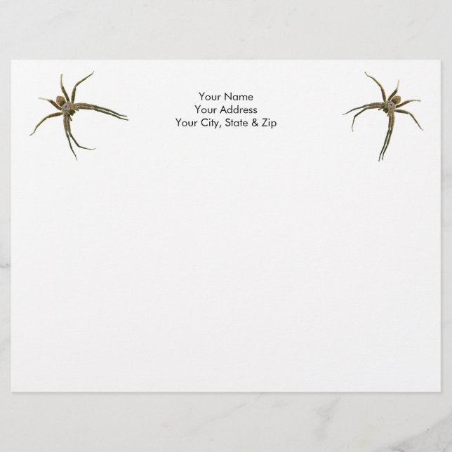 Spider Briefbogen (Vorderseite)