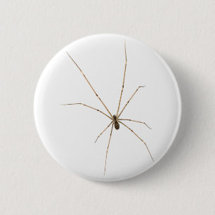 Spider Button