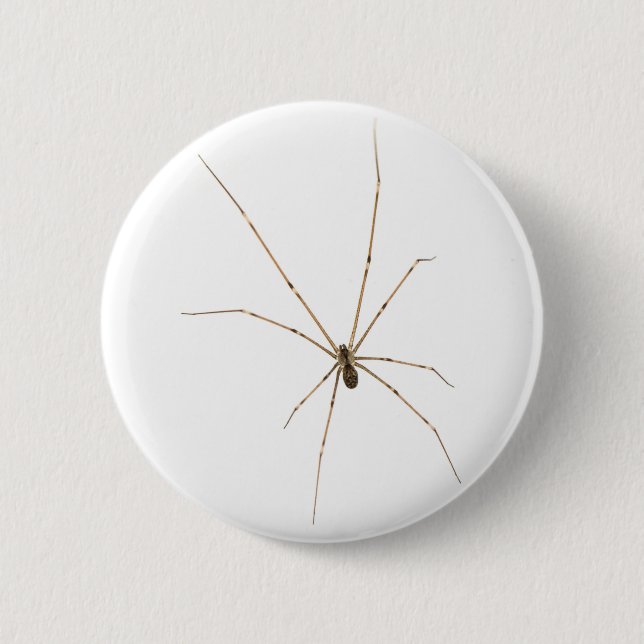 Spider Button (Vorderseite)