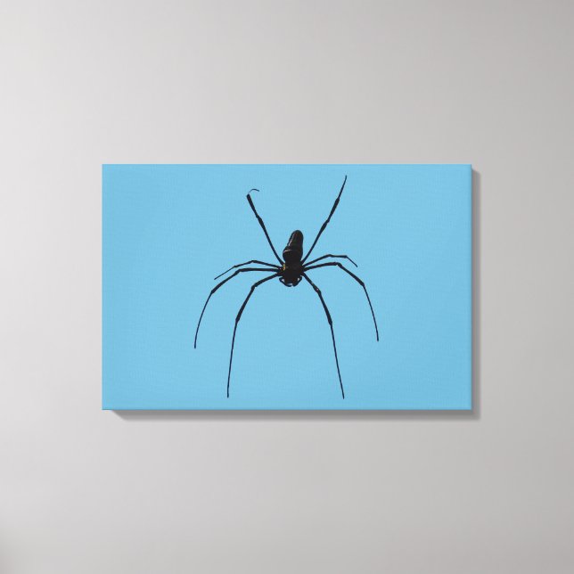 Spider Canvas Print Leinwanddruck (Vorderseite)
