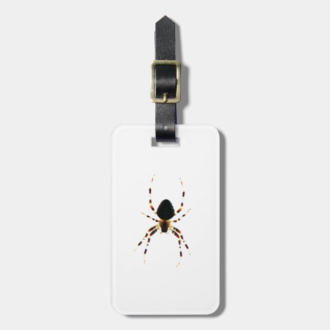 Spider cd ltcna gepäckanhänger (Vorderseite vertikal)