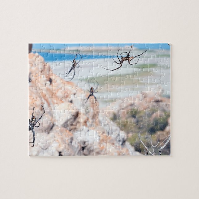 Spider City - Abhängen Puzzle (Horizontal)