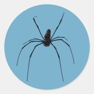 Spider Classic Round Sticker, glänzend Runder Aufkleber