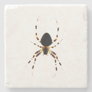 Spider Coaster Untersetzer