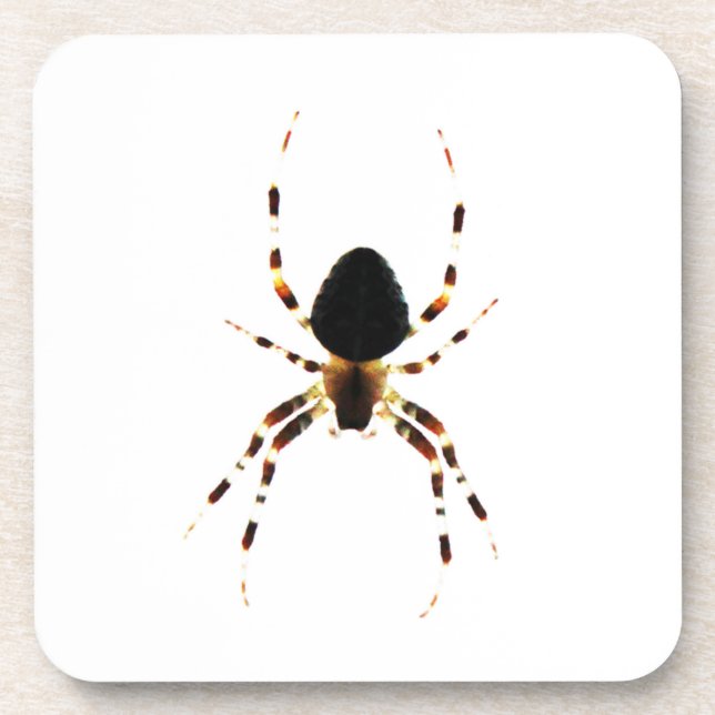 Spider Coastercn Beverage Coaster Getränkeuntersetzer (Vorderseite)