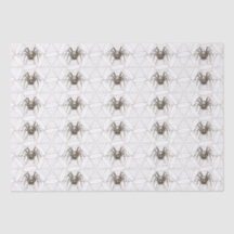 Spider Cobweb Vintag Spooky Muster Halloween