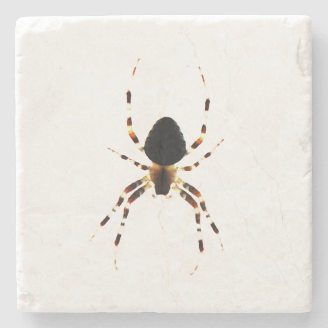 Spider Coercnm Steinuntersetzer (Vorderseite)