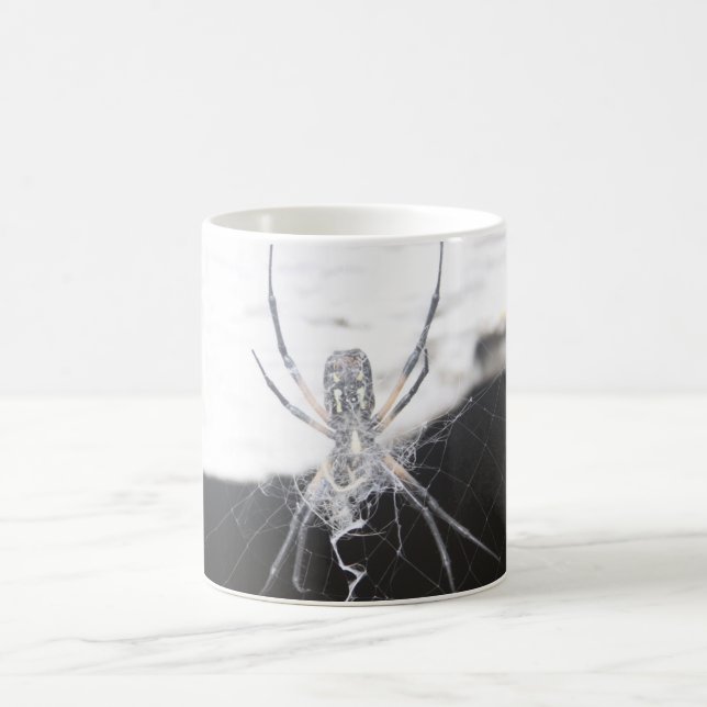 Spider Coffee Tasse (Mittel)