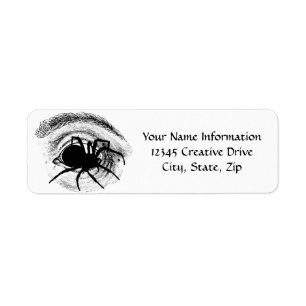 Spider Crawling aus der Eye Socket Rücksendeadress