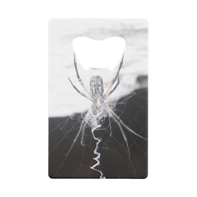 Spider Credit Card Flaschenöffner (Vorderseite)