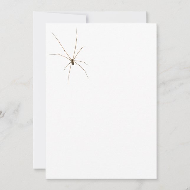 Spider Einladung (Vorderseite)