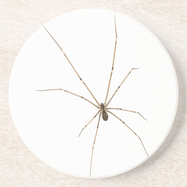 Spider Getränkeuntersetzer (Vorne)