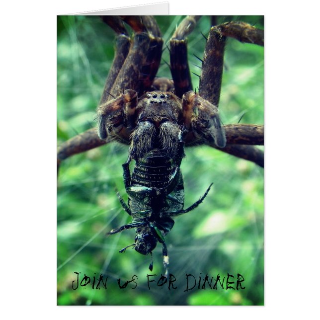 Spider Halloween Dinner Einladung (Vorne)