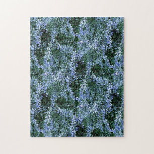 Spider Haven.. Puzzle