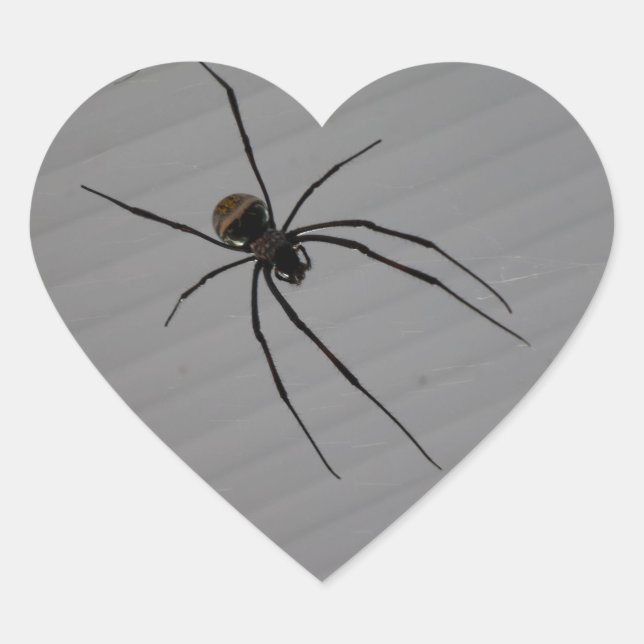Spider Heart Sticker (Vorderseite)