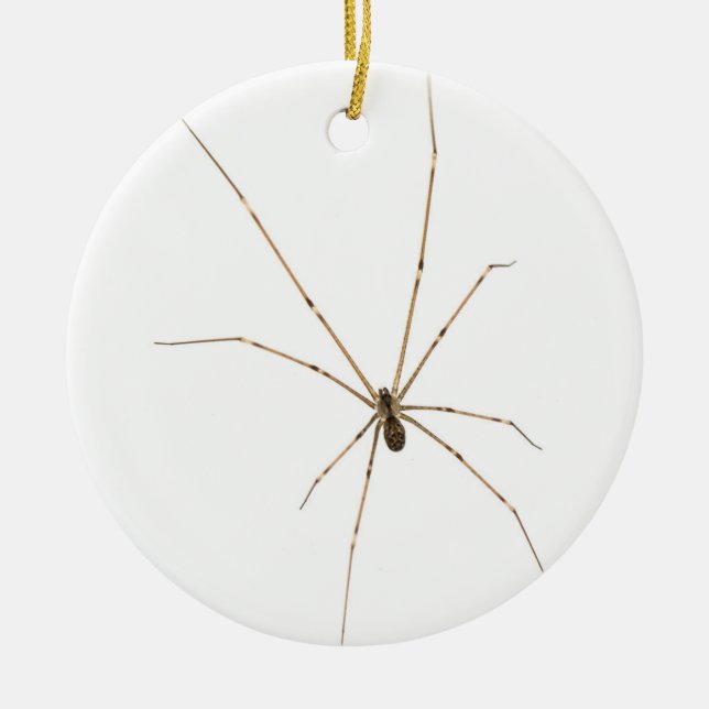 Spider Keramik Ornament (Vorne)