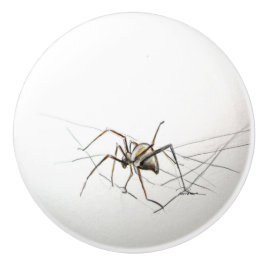 Spider Keramikknauf