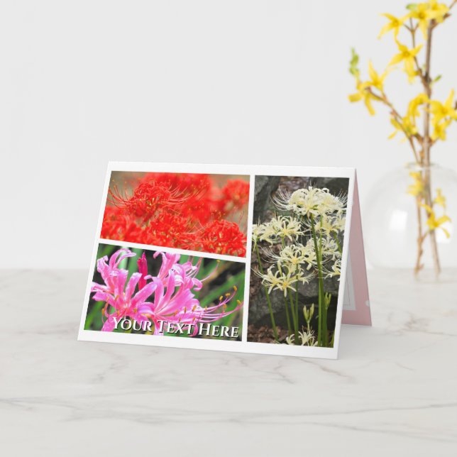 Spider Lily Karte (Gelbe Blume)