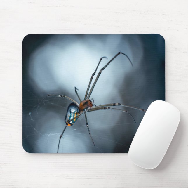 Spider Lovers | Beauty Spider mit Weben Mousepad (Mit Mouse)