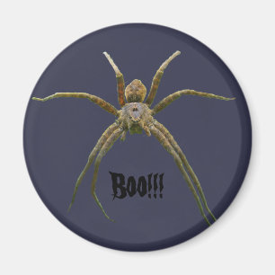 Spider Magnet