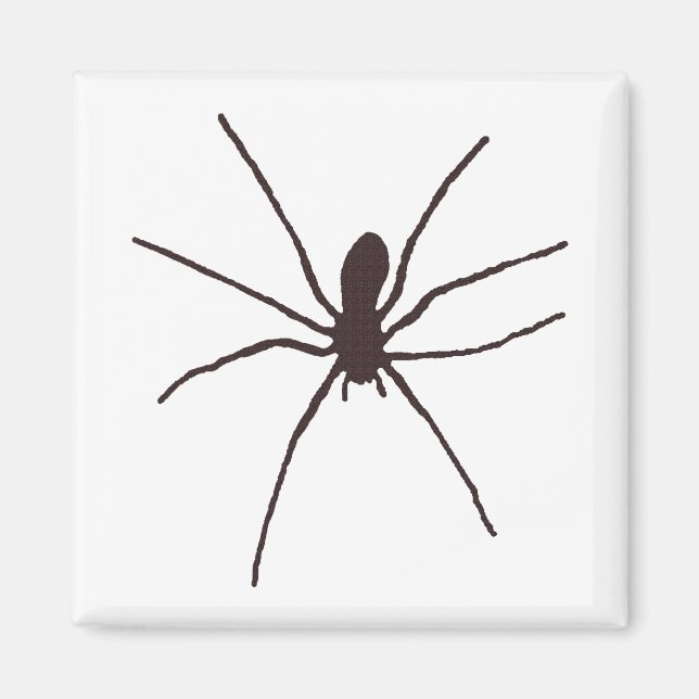 Spider Magnet (Vorne)