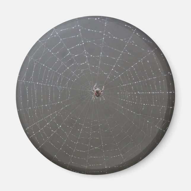 Spider Magnet (Vorne)