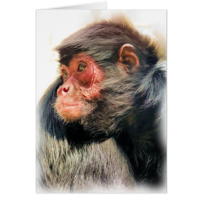 SPIDER MONKEY GREETINGS CARDS (Vorne)