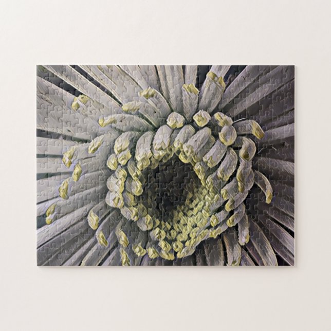 Spider Mum Garden Foto Art Puzzle (Horizontal)