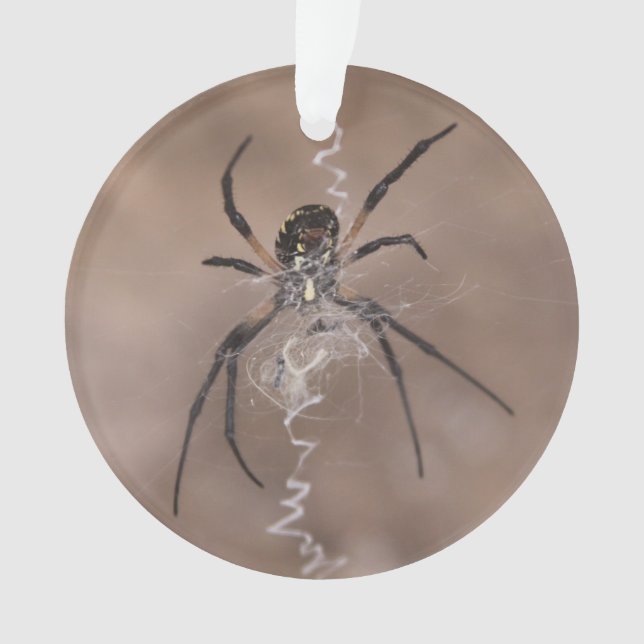Spider Ornament (Vorderseite)